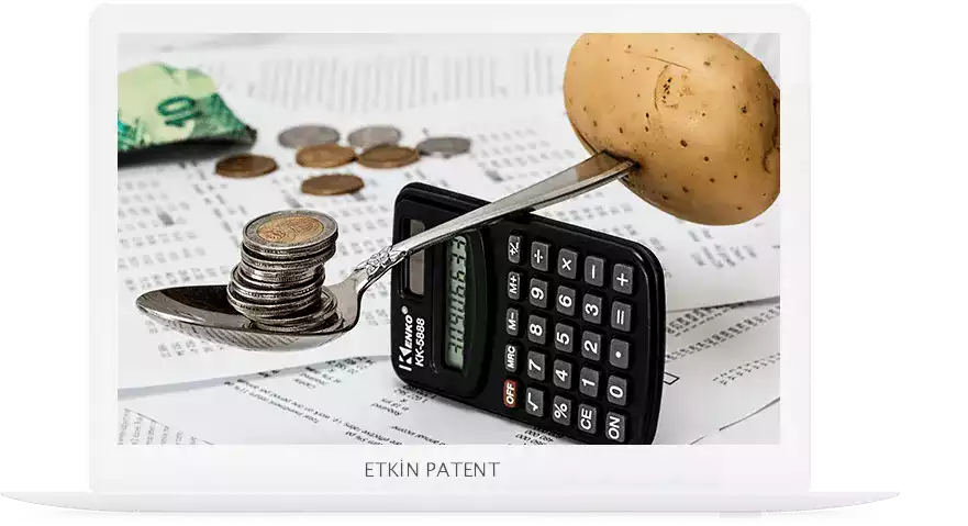 finansal davranışlara dair kombinasyon modeller-tuzla patent